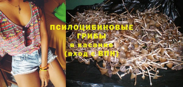 хмурый Алексеевка