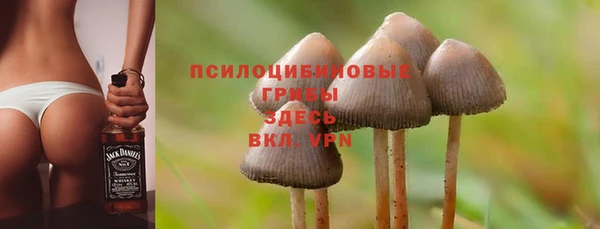 сатива Алзамай