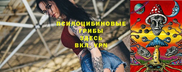 сатива Алзамай